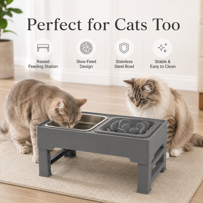 Height Adjustable Dog Feeder with Double Stainless Steel Bowls